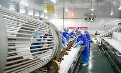 科技賦能鮮味體驗 每日優鮮小龍蝦節開啟，超聲技術驅動生鮮開發新篇章
