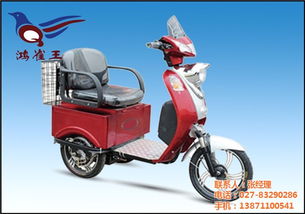 電瓶車保養(yǎng) 鴻雀王電動(dòng)車廠家 在線咨詢 青海電瓶車