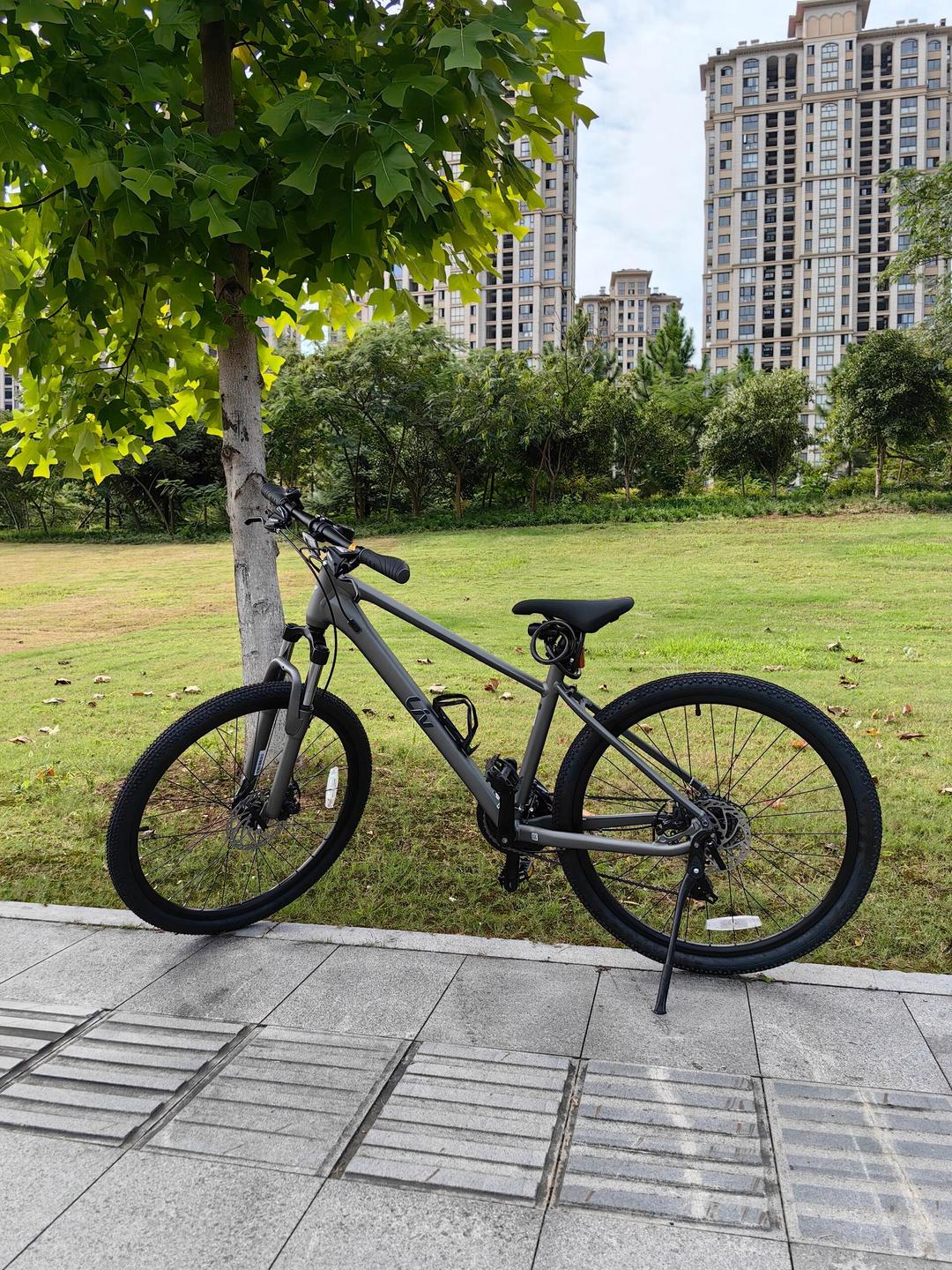 大愛(ài)捷安特自行車(chē)咪咪 騎行之旅:捷安特山地車(chē) 為了陪伴兒子騎行