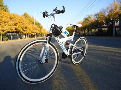 電動自行車之都，蚌埠的產(chǎn)業(yè)榮耀與未來展望